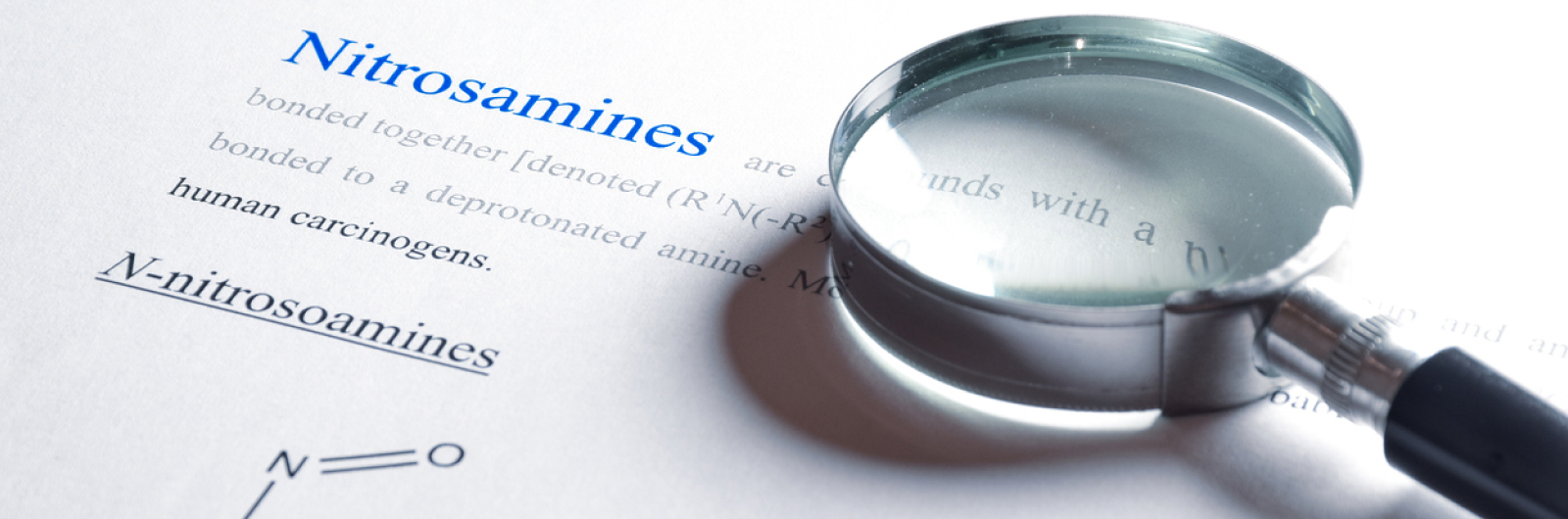 Nitrosamine Testing Services
